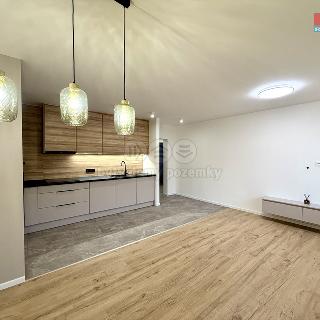 Prodej bytu 3+1 80 m² Ostrava, Živičná