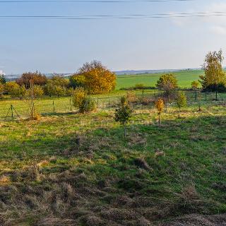 Prodej stavební parcely Radonice