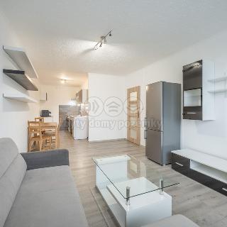 Pronájem bytu 3+kk 65 m² Praha