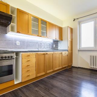 Pronájem bytu 3+1 76 m² Město Touškov, Březová