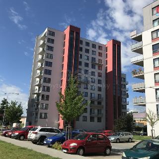 Pronájem bytu 1+kk a garsoniéry 35 m² Pardubice, Pod Vinicí