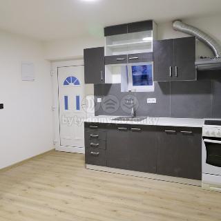 Pronájem bytu 2+kk 50 m² Dřísy, Hlavnovská