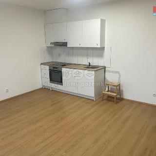 Pronájem bytu 1+kk, garsoniery 32 m² Plzeň