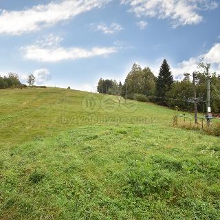 Prodej rodinného domu 180 m² Nová Ves nad Nisou