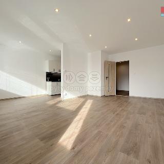 Prodej bytu 1+kk a garsoniéry 46 m² Praha, U jezera