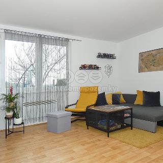 Pronájem bytu 2+1 61 m² Vilémov