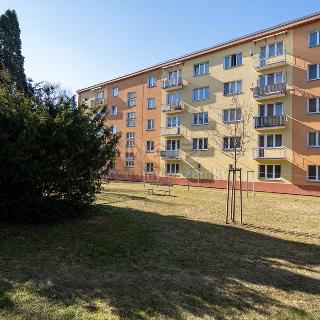 Prodej bytu 3+1 74 m² Šternberk, Nádražní