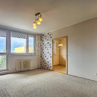 Pronájem bytu 3+1 63 m² Rakovník, Fojtíkova