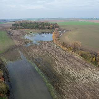 Prodej zemědělské půdy Věrovany