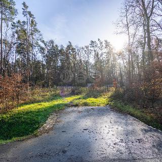 Prodej stavební parcely Hradištko, Kersko