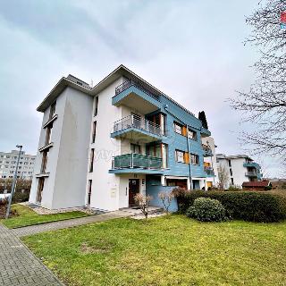 Pronájem bytu 3+kk 55 m² Praha