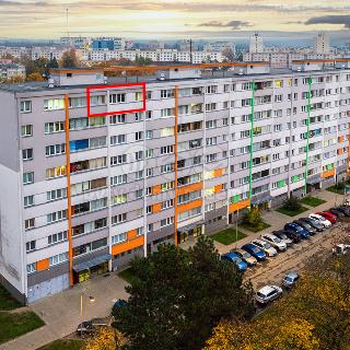 Prodej bytu 3+1 62 m² Hradec Králové, Severní