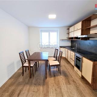 Pronájem bytu 2+1 56 m² Dolní Benešov, Osada míru