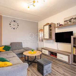 Prodej bytu 3+1 75 m² Ševětín