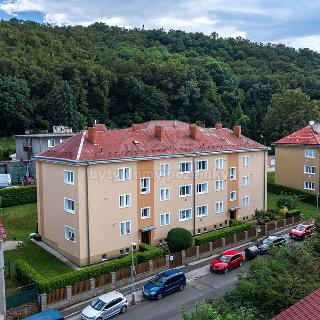 Prodej bytu 2+1 64 m² Bílina