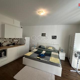 Pronájem bytu 1+kk a garsoniéry 25 m² Praha, Krakovská