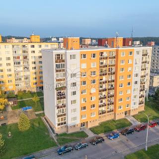 Prodej bytu 3+1 72 m² Horní Bříza, U Vrbky