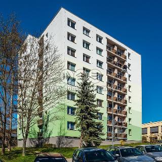 Pronájem bytu 1+kk a garsoniéry 33 m² Havlíčkův Brod, Husova