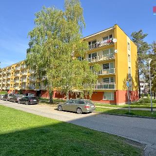 Pronájem bytu 1+kk a garsoniéry 20 m² České Budějovice, Dobrovodská