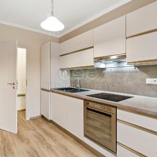 Pronájem bytu 4+1 98 m² Chlumec, Vyklická