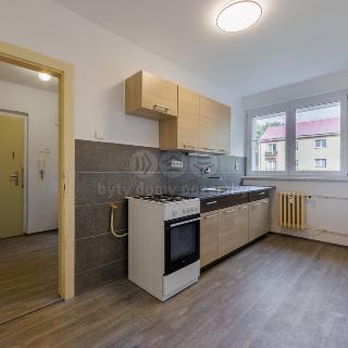 Pronájem bytu 1+1 36 m² Ostrov, Lidická