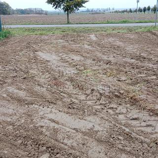 Prodej stavební parcely Starý Mateřov