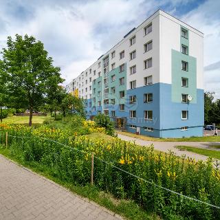 Pronájem bytu 1+1 36 m² Svitavy, Svitavská