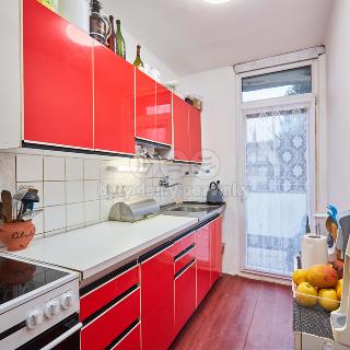 Prodej bytu 2+1 46 m² České Velenice, Riegrova