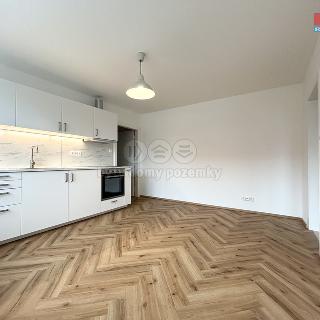 Pronájem bytu 2+kk 41 m² Ostrov, Lidická