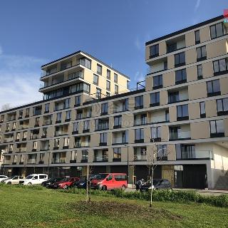 Pronájem bytu 2+kk 58 m² Ostrava, náměstí Biskupa Bruna