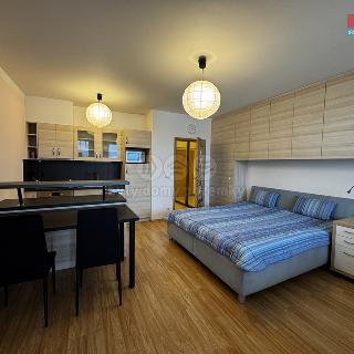 Pronájem bytu 1+kk a garsoniéry 35 m² Praha, V dolině