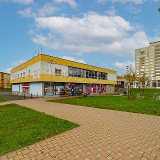 Pronájem obchodu 400 m² Cheb, Přátelství