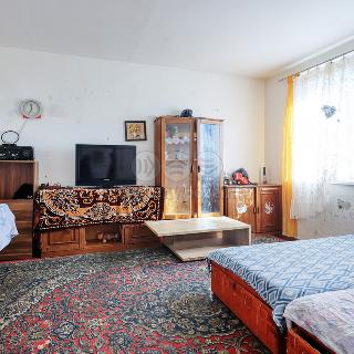 Prodej bytu 1+1 39 m² Rovná