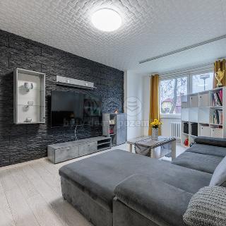 Prodej bytu 3+1 60 m² Nejdek