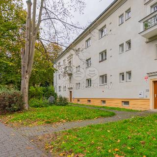 Pronájem bytu 3+1 70 m² České Budějovice, Čéčova