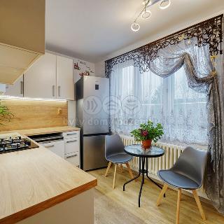 Prodej bytu 3+1 65 m² Mariánské Lázně, Mánesova