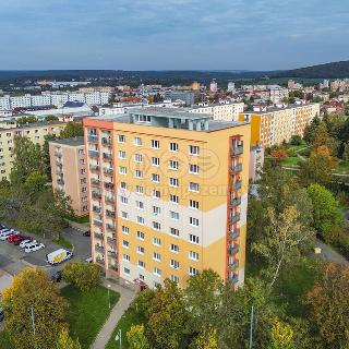 Prodej bytu 3+1 68 m² Plzeň, Družby