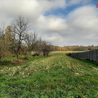 Prodej stavební parcely Velký Újezd