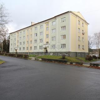 Pronájem bytu 3+kk 66 m² Nová Role, Školní