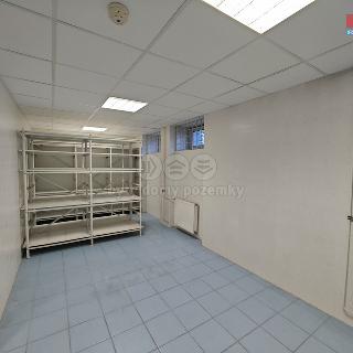 Pronájem skladu 33 m² Brno