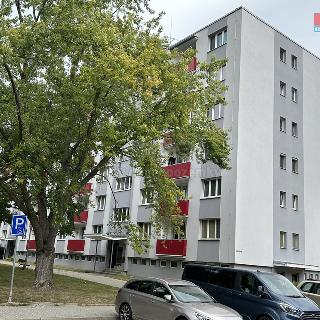 Prodej bytu 3+kk 61 m² Čelákovice, Rumunská