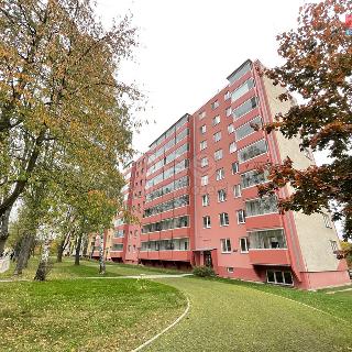 Pronájem bytu 1+kk a garsoniéry 28 m² Ostrava, Josefa Skupy