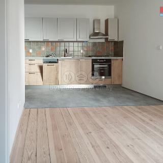 Pronájem bytu 3+1 120 m² Roudnice nad Labem, Náměstí Jana z Dražic