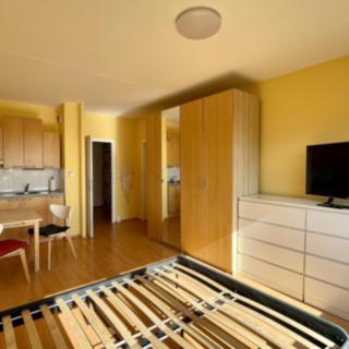 Pronájem bytu 1+kk a garsoniéry 30 m² Praha Modřany, Božetická