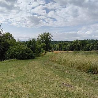 Prodej zahrady 2079 m&sup2; Nová Ves