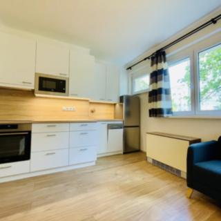 Pronájem bytu 1+kk, garsoniery Praha