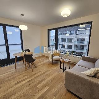 Pronájem bytu 2+kk 83 m² Praha, U průhonu