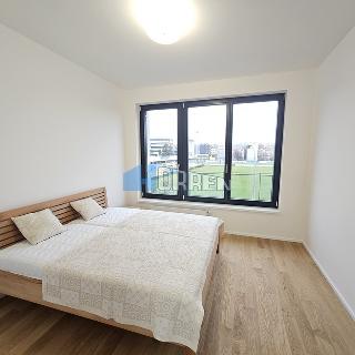 Pronájem bytu 2+kk 50 m² Praha, U průhonu