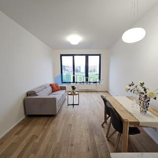 Pronájem bytu 2+kk 50 m² Praha, U průhonu