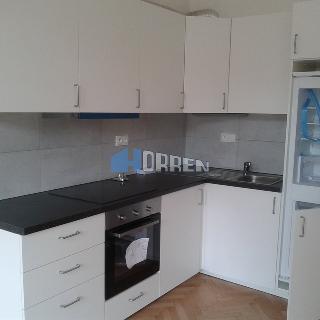 Pronájem bytu 2+kk 51 m² Praha, V Horkách